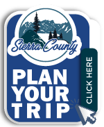 Plan your Trip